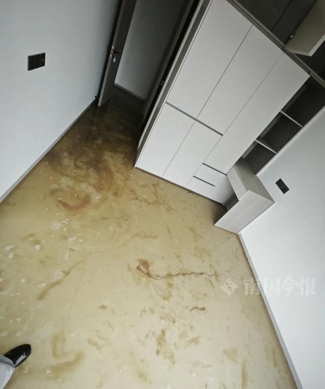 ！业主崩溃：全屋都是无法接受凯发app网站婚房被粪水浸泡(图1)