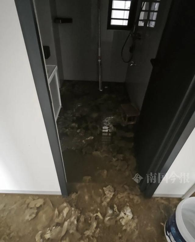 ！业主崩溃：全屋都是无法接受凯发app网站婚房被粪水浸泡(图4)
