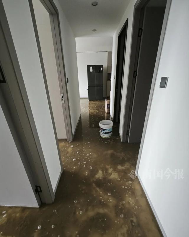！业主崩溃：全屋都是无法接受凯发app网站婚房被粪水浸泡(图6)