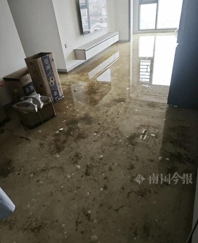！业主崩溃：全屋都是无法接受凯发app网站婚房被粪水浸泡(图9)
