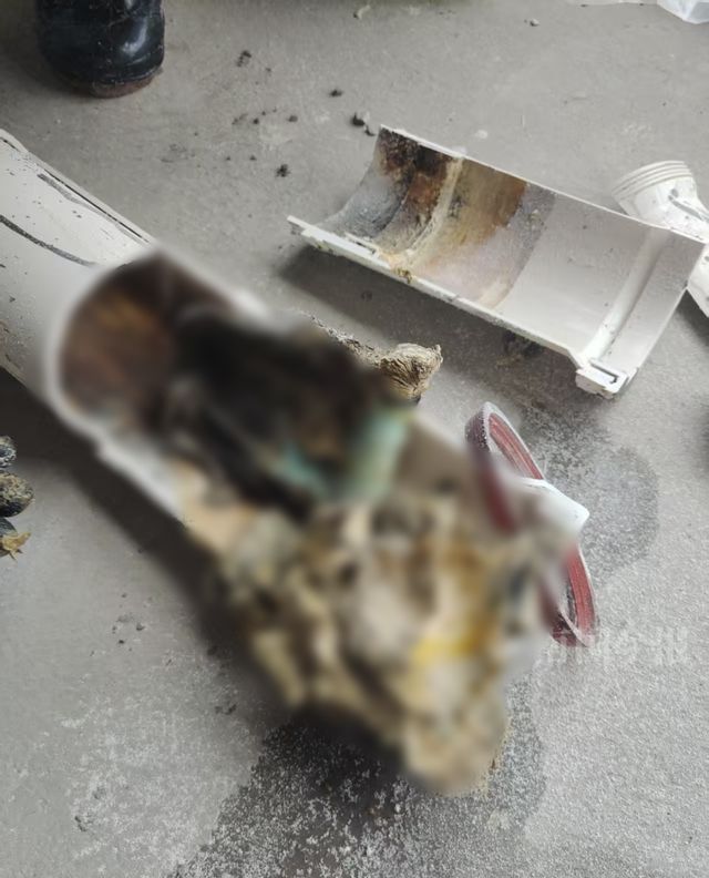 ！业主崩溃：全屋都是无法接受凯发app网站婚房被粪水浸泡(图10)